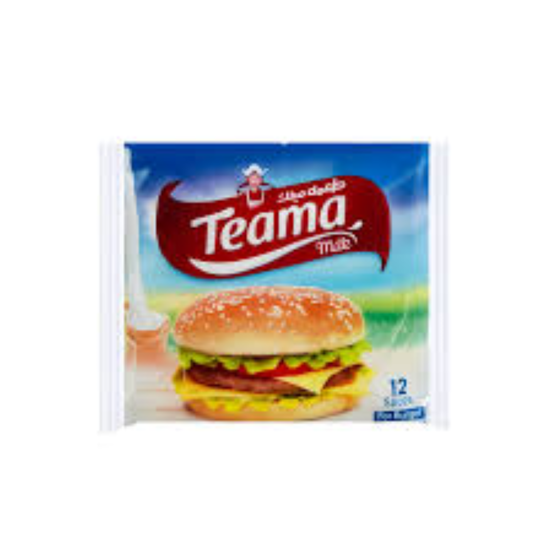 TEAMA SQUARE CHEESE 100G